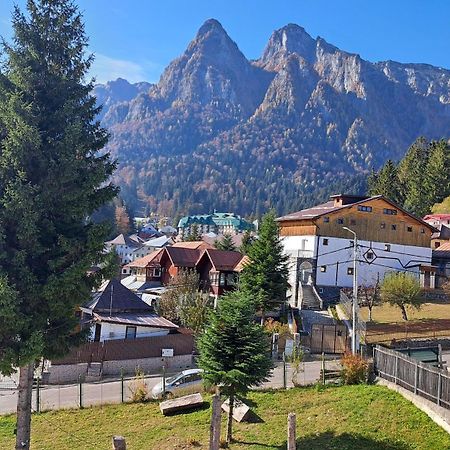 Vila Panoramic Buşteni Buitenkant foto