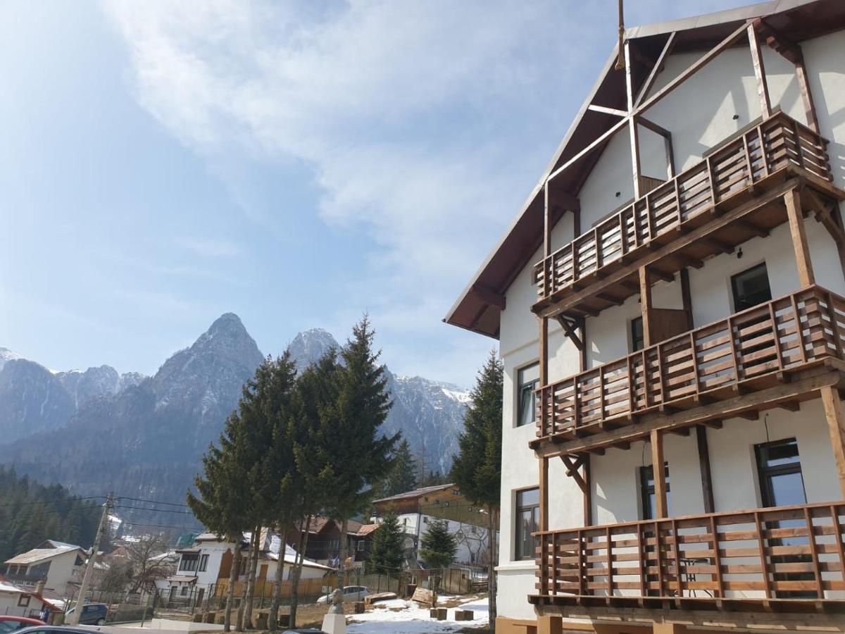 Vila Panoramic Buşteni Buitenkant foto