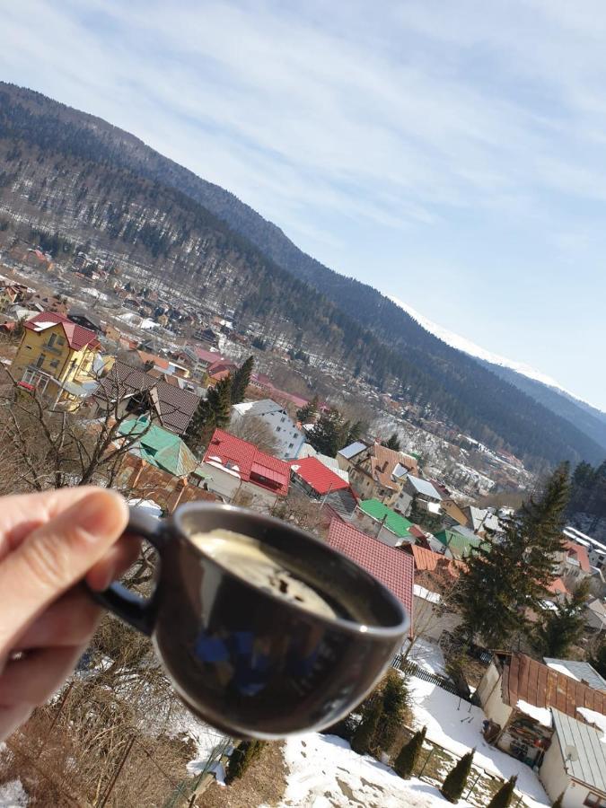 Vila Panoramic Buşteni Buitenkant foto