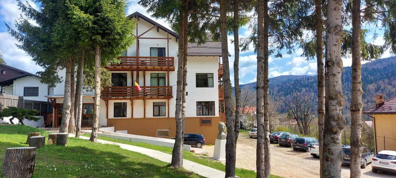 Vila Panoramic Buşteni Buitenkant foto