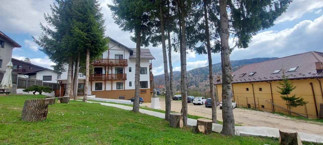 Vila Panoramic Buşteni Buitenkant foto