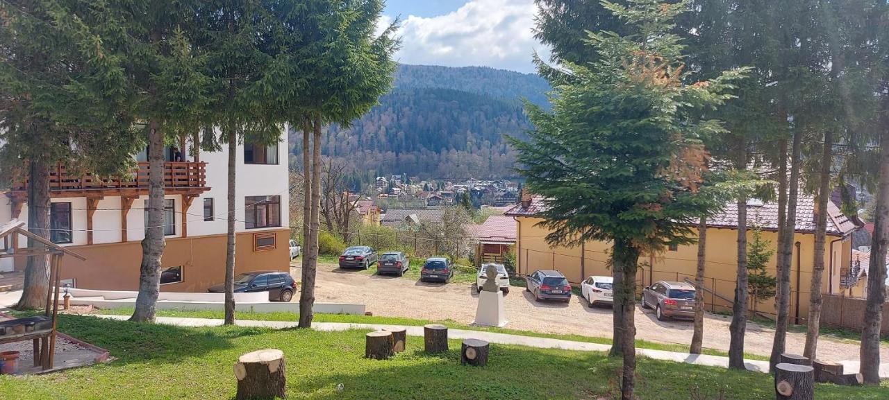 Vila Panoramic Buşteni Buitenkant foto
