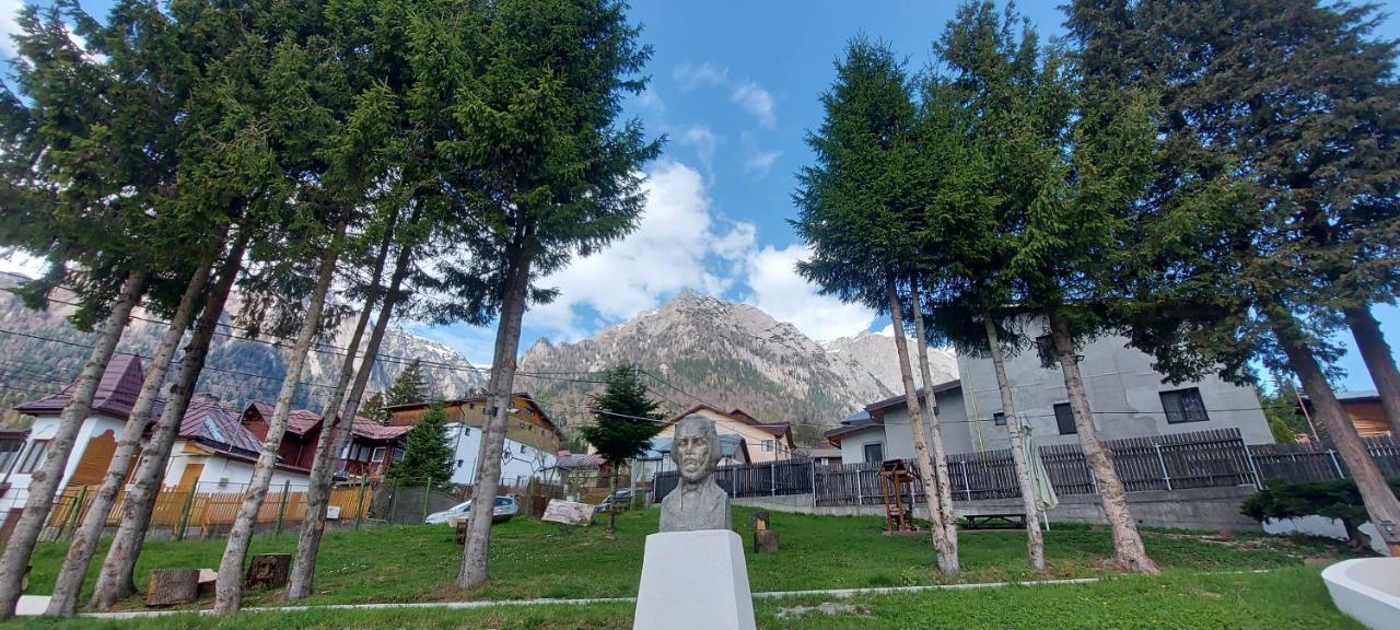Vila Panoramic Buşteni Buitenkant foto