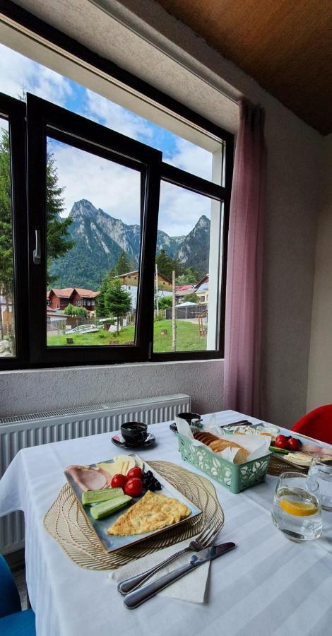 Vila Panoramic Buşteni Buitenkant foto