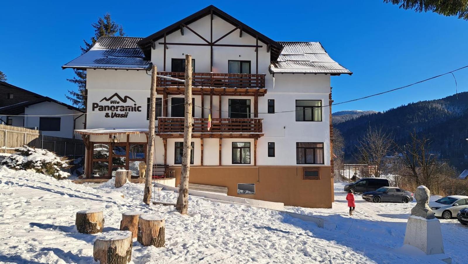 Vila Panoramic Buşteni Buitenkant foto