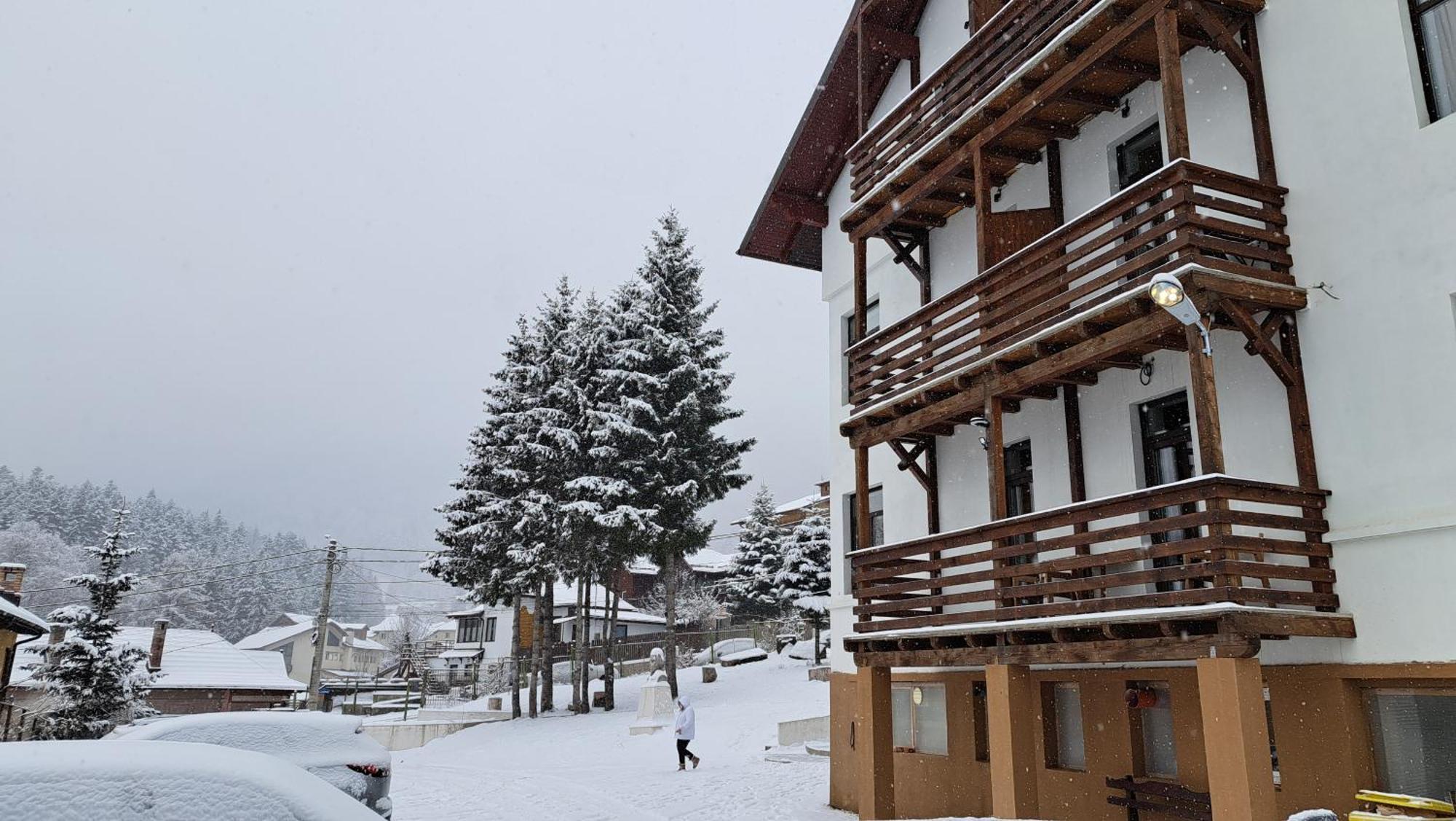 Vila Panoramic Buşteni Buitenkant foto